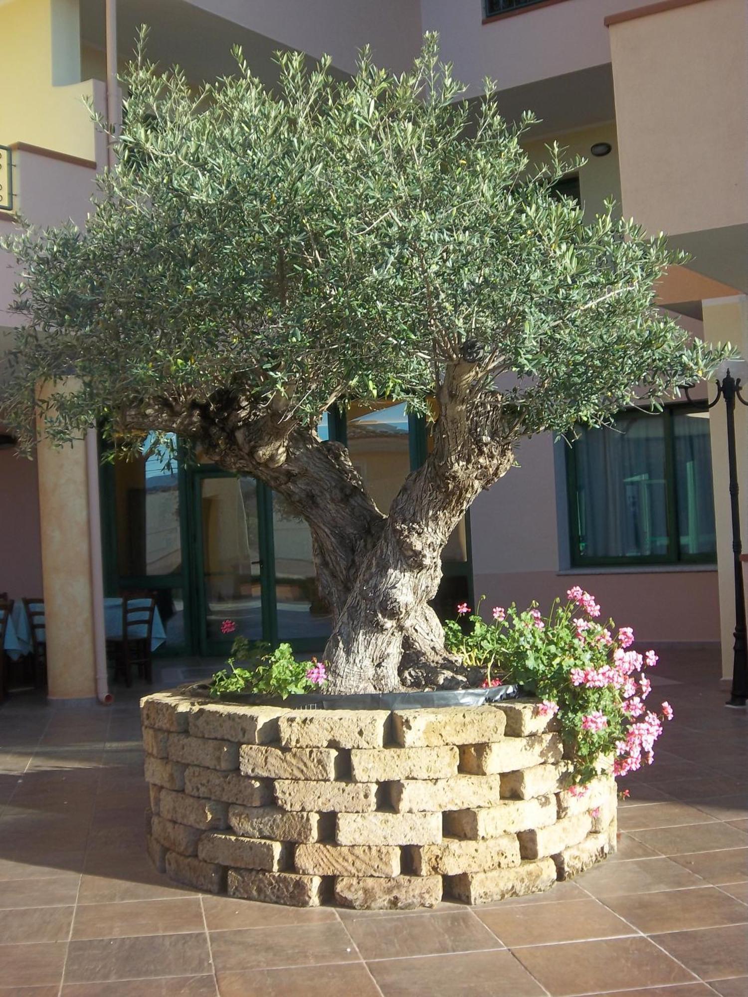 Hotel Baia Marina Orosei Exterior photo